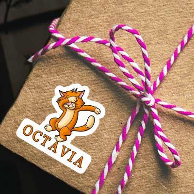 Chat Autocollant Octavia Chat Autocollant Octavia Image