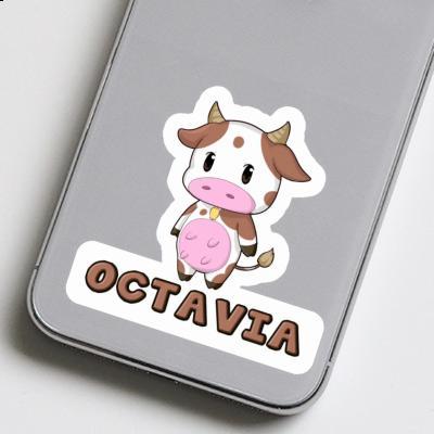 Sticker Cow Octavia Laptop Image