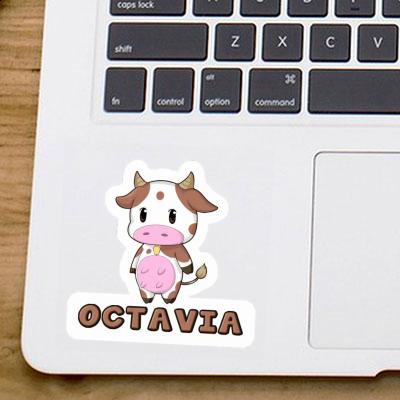 Sticker Cow Octavia Image