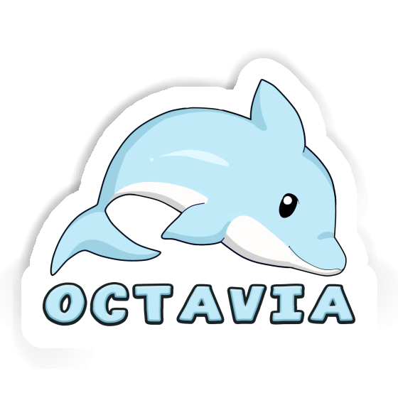 Octavia Autocollant Dauphin Notebook Octavia Autocollant Dauphin Gift package Image