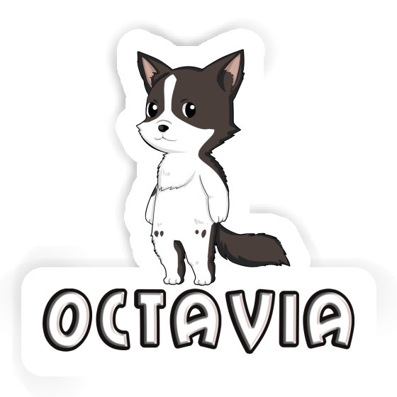 Autocollant Collie border Octavia Laptop Autocollant Collie border Octavia Laptop Image