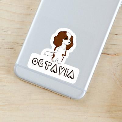 Autocollant Octavia Cavalier King Charles Spaniel Laptop Autocollant Octavia Cavalier King Charles Spaniel Laptop Image