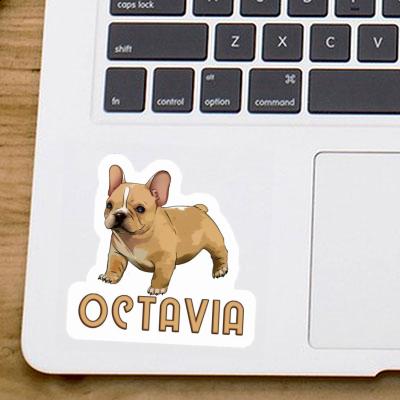 Aufkleber Französische Bulldogge Octavia Notebook Aufkleber Französische Bulldogge Octavia Gift package Image