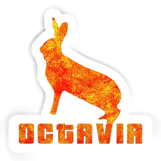 Sticker Octavia Rabbit Notebook Sticker Octavia Rabbit Gift package Image