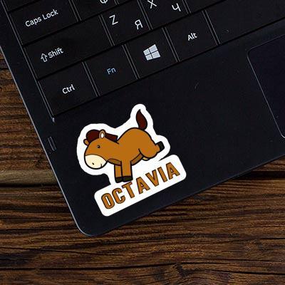 Autocollant Octavia Cheval Notebook Autocollant Octavia Cheval Gift package Image