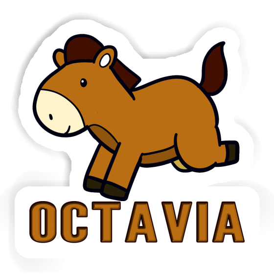 Horse Sticker Octavia Notebook Horse Sticker Octavia Gift package Image