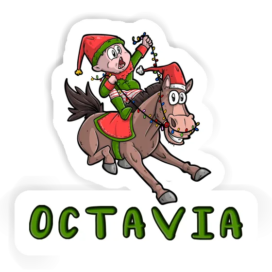 Horse Sticker Octavia Notebook Horse Sticker Octavia Gift package Image