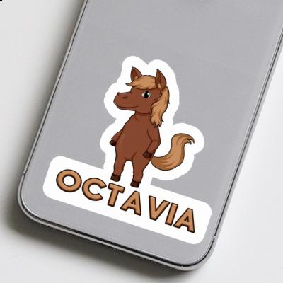 Horse Sticker Octavia Notebook Horse Sticker Octavia Gift package Image
