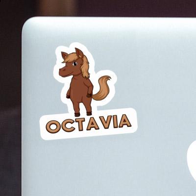 Horse Sticker Octavia Notebook Horse Sticker Octavia Notebook Image