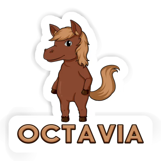 Horse Sticker Octavia Notebook Horse Sticker Octavia Gift package Image