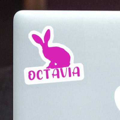 Autocollant Octavia Lapin Notebook Autocollant Octavia Lapin Gift package Image