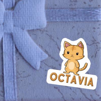 Chat Autocollant Octavia Notebook Chat Autocollant Octavia Notebook Image