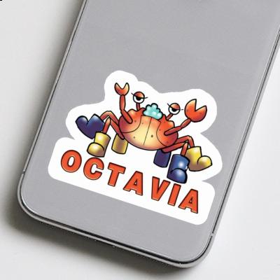 Crabe Autocollant Octavia Laptop Crabe Autocollant Octavia Laptop Image