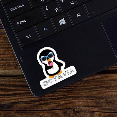 Octavia Autocollant Pingouin Laptop Octavia Autocollant Pingouin Laptop Image