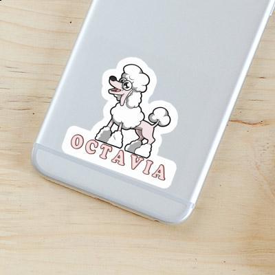 Poodle Sticker Octavia Poodle Sticker Octavia Image