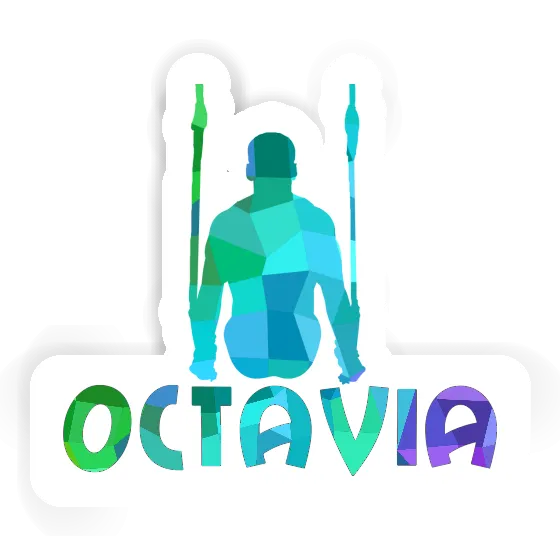 Octavia Autocollant Gymnaste aux anneaux Notebook Octavia Autocollant Gymnaste aux anneaux Gift package Image
