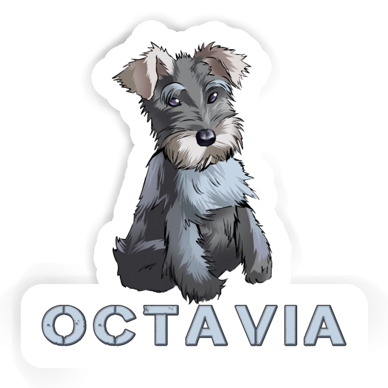 Autocollant Schnauzer Octavia Gift package Image