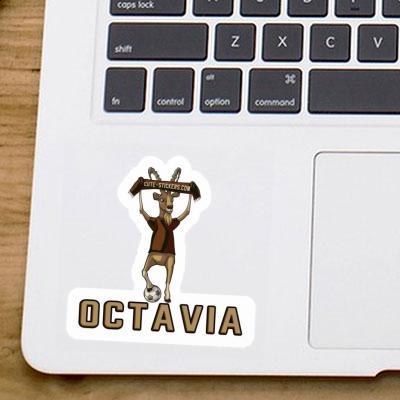 Sticker Octavia Capricorn Notebook Sticker Octavia Capricorn Gift package Image