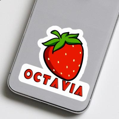 Erdbeere Aufkleber Octavia Notebook Erdbeere Aufkleber Octavia Gift package Image