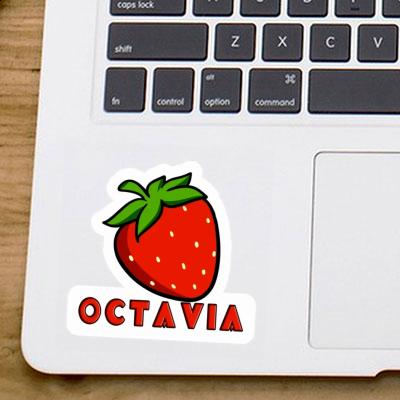 Erdbeere Aufkleber Octavia Erdbeere Aufkleber Octavia Image