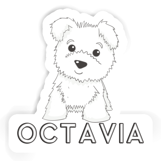 Autocollant Octavia Terrier Laptop Autocollant Octavia Terrier Laptop Image