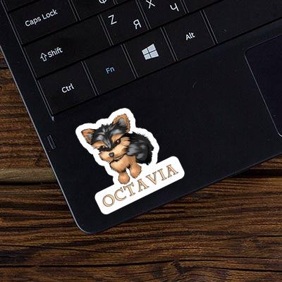 Octavia Autocollant Yorkie Laptop Octavia Autocollant Yorkie Laptop Image