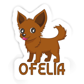 Autocollant Chihuahua Ofelia Image