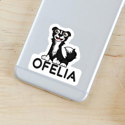 Autocollant Border Collie Ofelia Notebook Autocollant Border Collie Ofelia Gift package Image