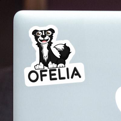 Ofelia Sticker Border Collie Notebook Ofelia Sticker Border Collie Gift package Image