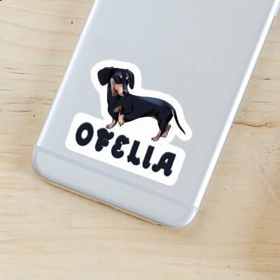 Autocollant Ofelia Teckel Gift package Image