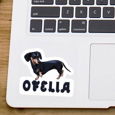 Dachshund Sticker Ofelia Laptop Image