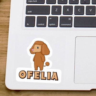 Aufkleber Ofelia Pudel Gift package Image