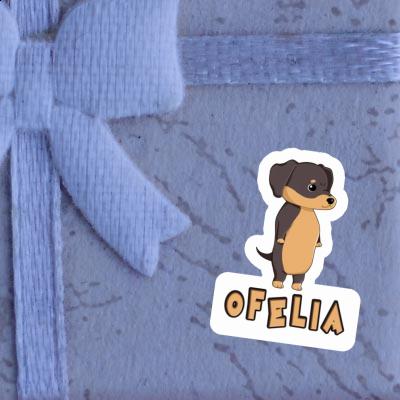 Teckel Autocollant Ofelia Laptop Image