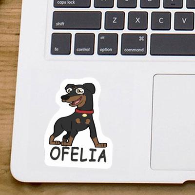 Ofelia Autocollant Pinscher Notebook Ofelia Autocollant Pinscher Gift package Image