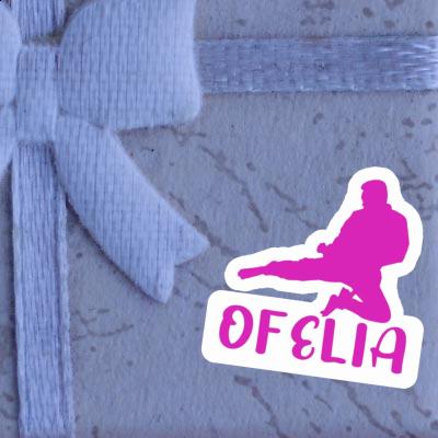 Ofelia Sticker Karateka Notebook Ofelia Sticker Karateka Gift package Image