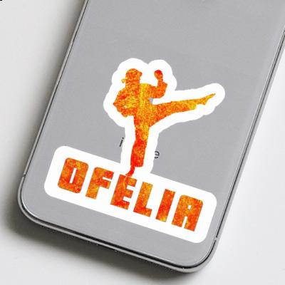 Autocollant Karatéka Ofelia Laptop Image