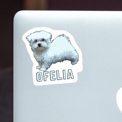 Autocollant Bichon maltais Ofelia Gift package Image