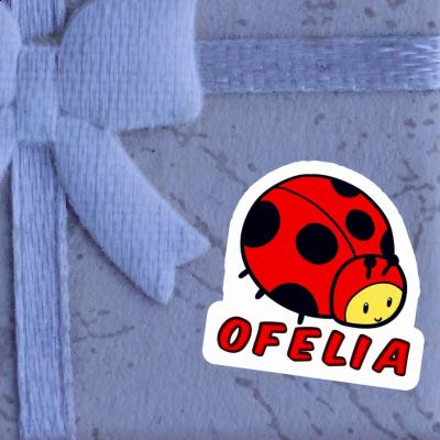 Marienkäfer Aufkleber Ofelia Notebook Marienkäfer Aufkleber Ofelia Gift package Image