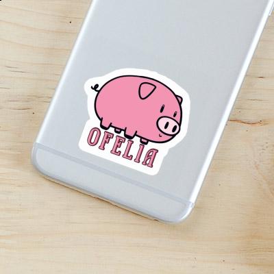 Sticker Ofelia Schwein Notebook Sticker Ofelia Schwein Gift package Image