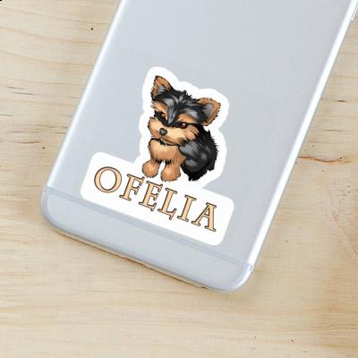Sticker Ofelia Yorkshire Terrier Laptop Image
