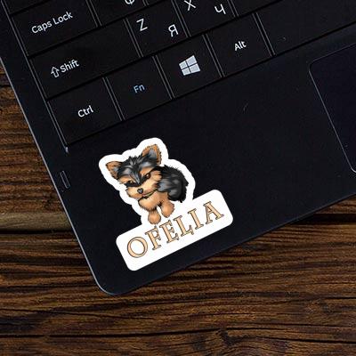 Sticker Ofelia Yorkshire Terrier Gift package Image