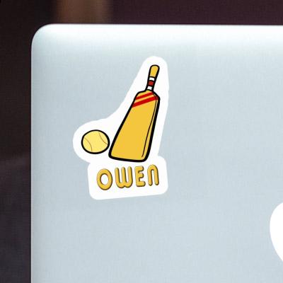 Sticker Cricket Bat Owen Image