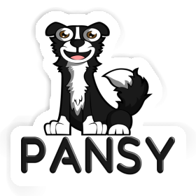 Border Collie Sticker Pansy Image