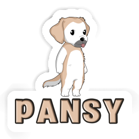 Sticker Golden Retriever Pansy Image