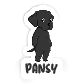 Sticker Pansy Labrador Image