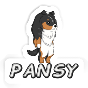 Sticker Pansy Shetland Sheepdog Image