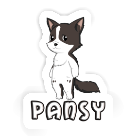 Sticker Border Collie Pansy Image