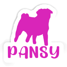 Sticker Pug Pansy Image