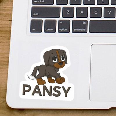 Sticker Pansy Bernese Mountain Dog Image