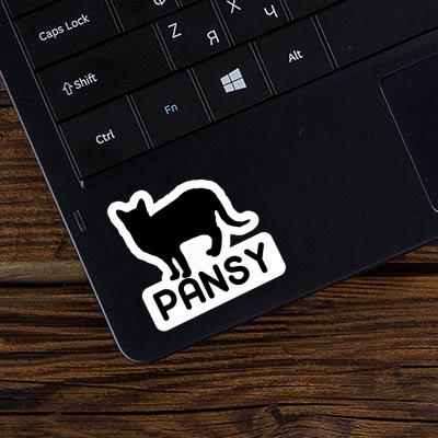 Sticker Pansy Cat Laptop Image